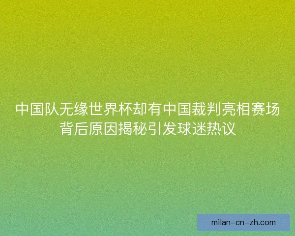 中国队无缘世界杯却有中国裁判亮相赛场背后原因揭秘引发球迷热议